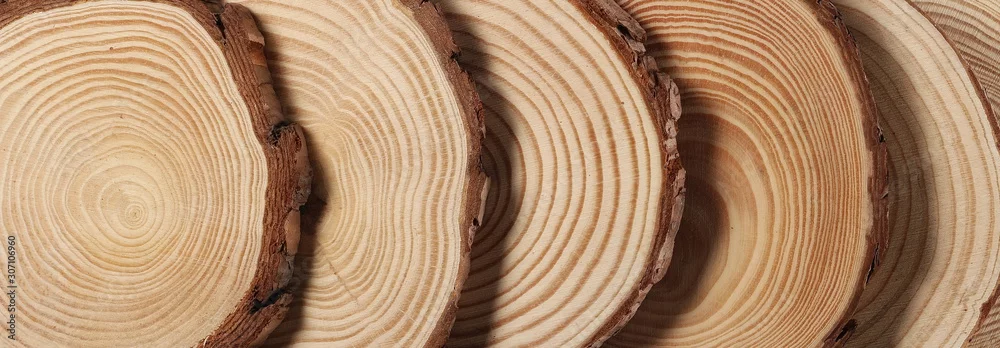 Integration Delivers Results